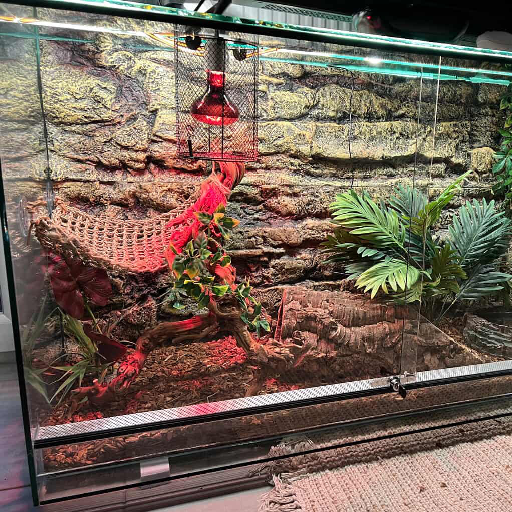 Terrariums et aquariums sur mesure